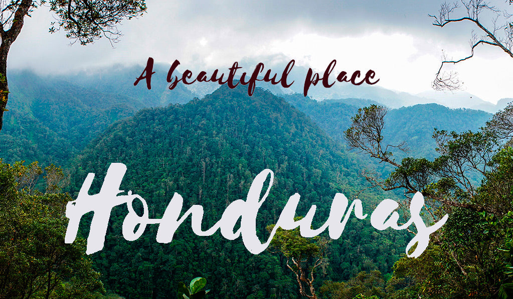 Everything you need to know about Honduran coffee